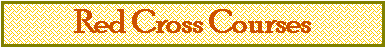 Text Box: Red Cross Courses